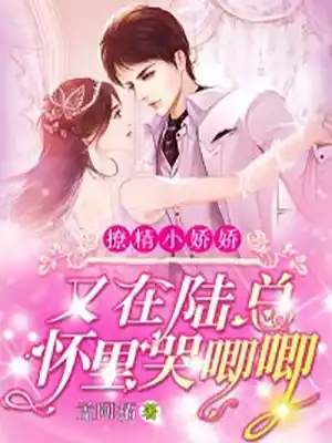 撩精小娇娇又在陆总怀里哭唧唧小说