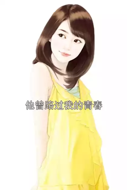 他曾路过我的青春