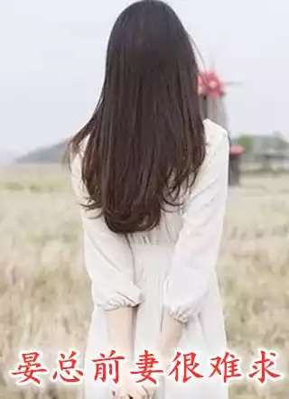 晏总前妻很难求小说