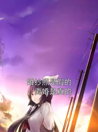 婚纱照是假的，离婚是真的小说