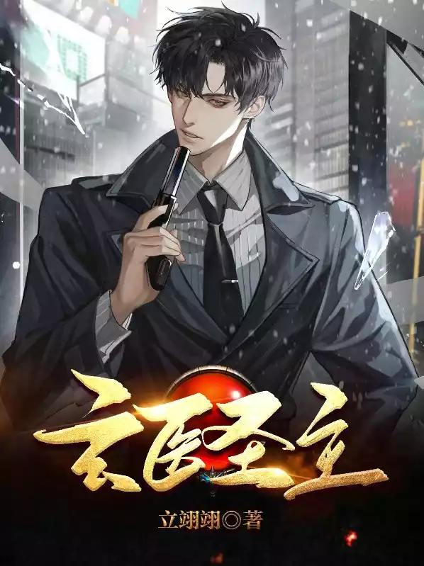 玄医圣主小说