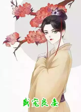 盛宠良妾小说