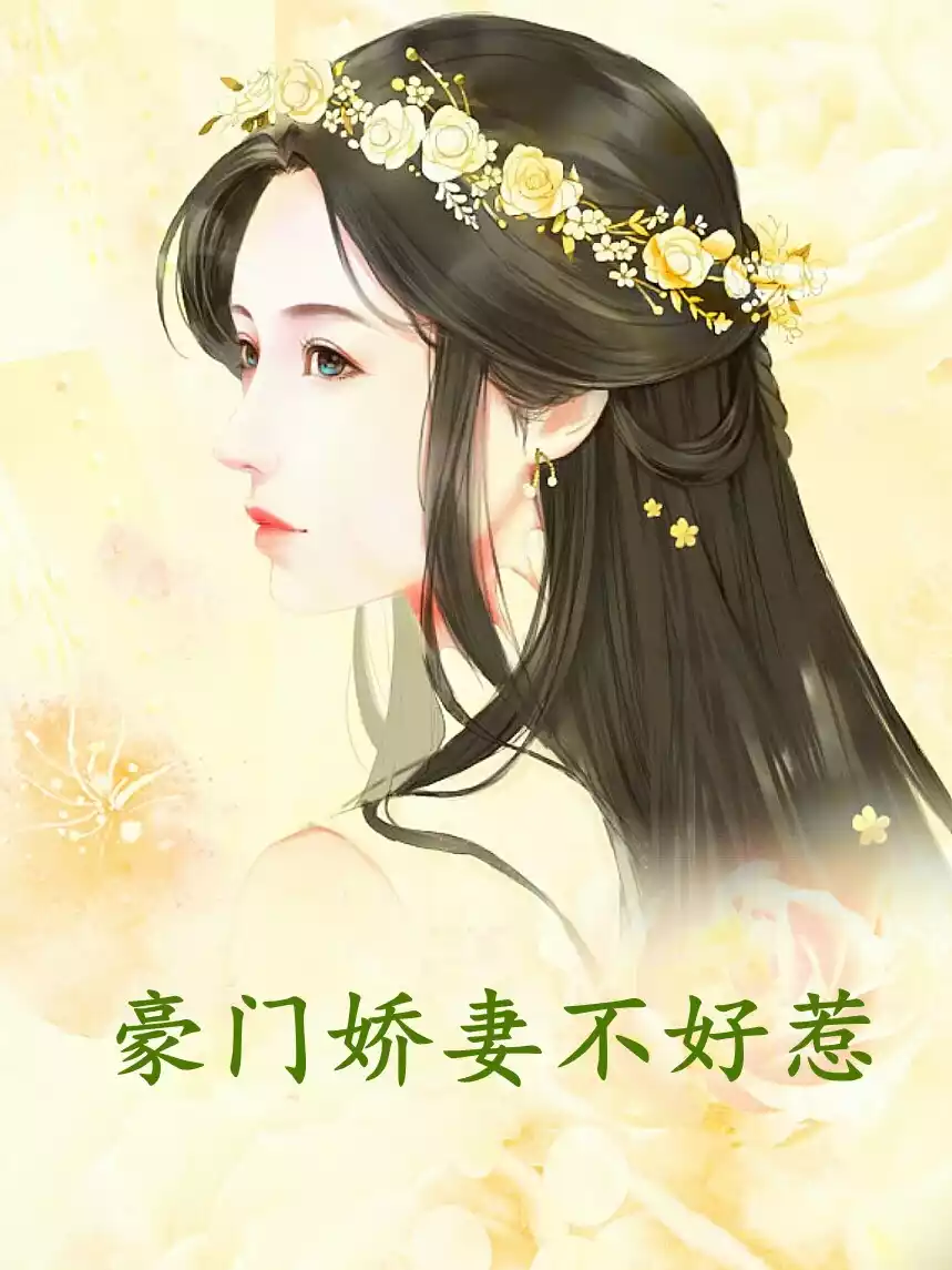 豪门娇妻不好惹小说
