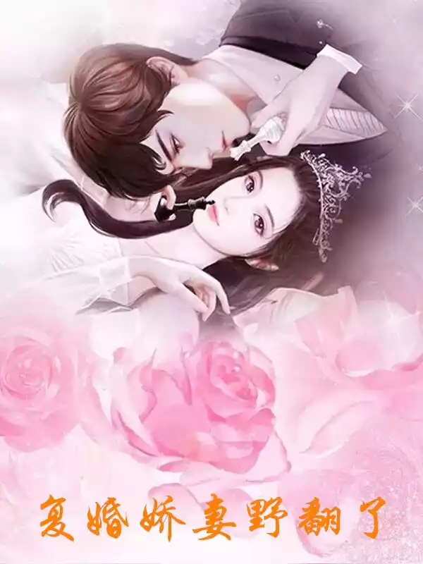 复婚娇妻野翻了小说