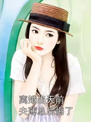 离婚当天前夫薄总后悔了小说