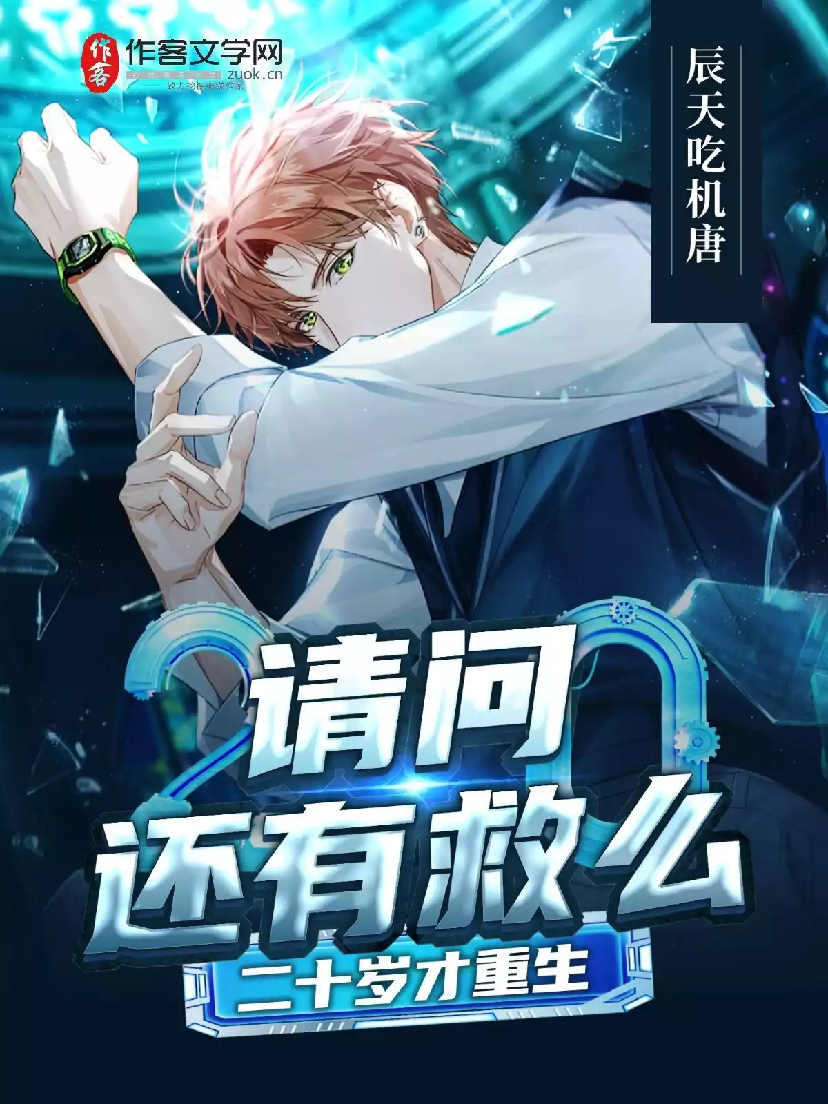二十岁才重生请问还有救么小说
