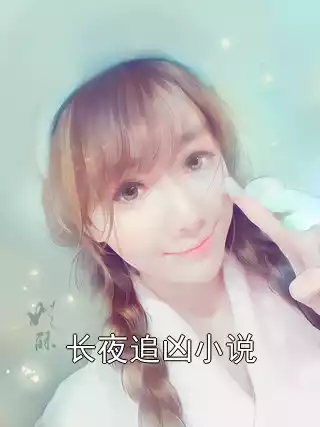 长夜追凶小说