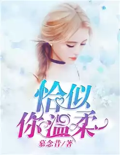 恰似你温柔小说