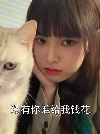 没有你谁给我钱花小说