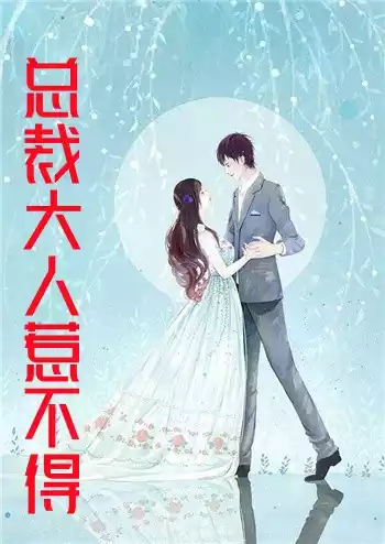 总裁大人惹不得小说