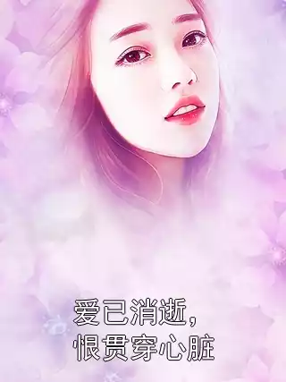 爱已消逝，恨贯穿心脏小说