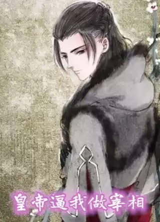 皇帝逼我做宰相小说
