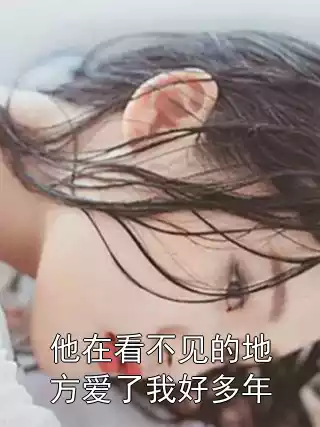 他在看不见的地方爱了我好多年小说