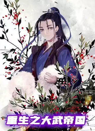 重生之大武帝国