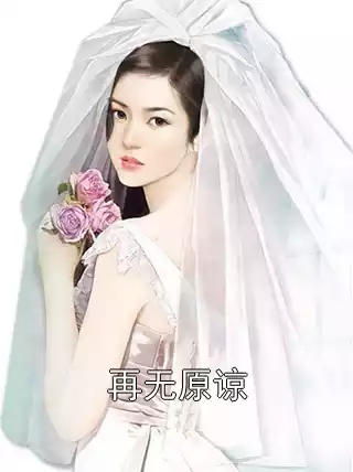 再无原谅小说