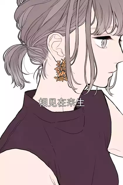 相见在来生小说