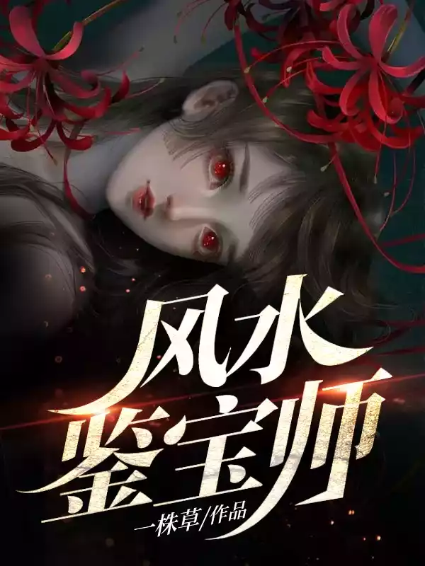 风水鉴宝师小说