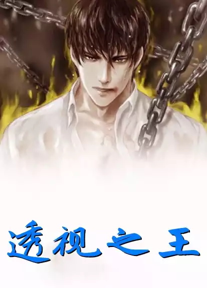 透视之王小说