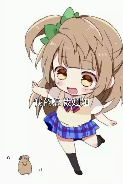 我的总裁姐姐小说