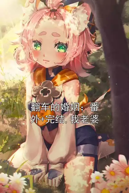 翻车的婚姻：番外+完结,我老婆小说