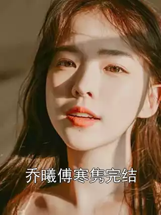乔曦傅寒隽完结小说