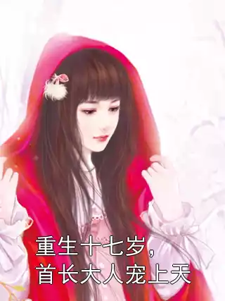 重生十七岁，首长大人宠上天小说