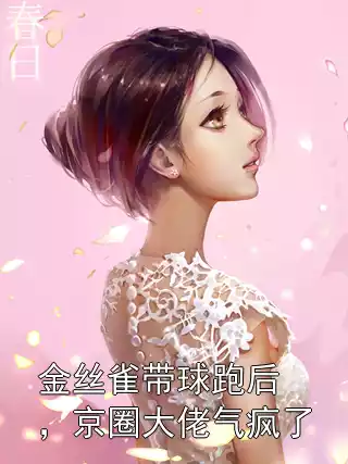 金丝雀带球跑后，京圈大佬气疯了小说