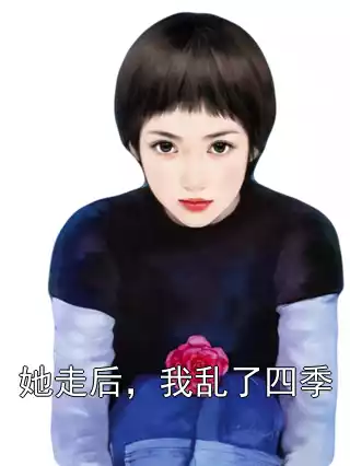 她走后，我乱了四季小说