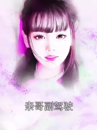 亲哥副驾驶小说
