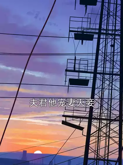 夫君他宠妻灭妾