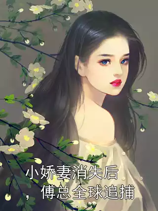小娇妻消失后，傅总全球追捕小说