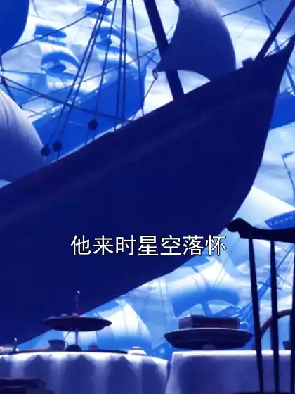 他来时星空落怀小说