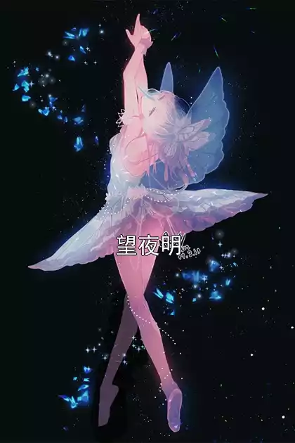 望夜明小说