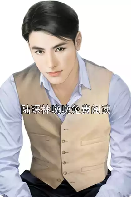 陆琛林晚晚免费阅读
