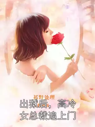 出狱后，高冷女总裁追上门小说