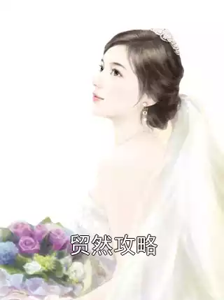 贸然攻略小说