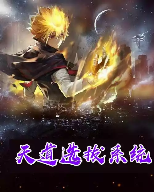 天道选拔系统小说