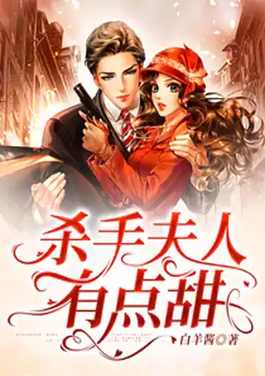 杀手夫人有点甜小说