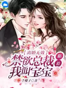 离婚无效，禁欲总裁黏着我叫宝宝小说