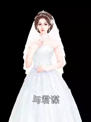 与君谋小说