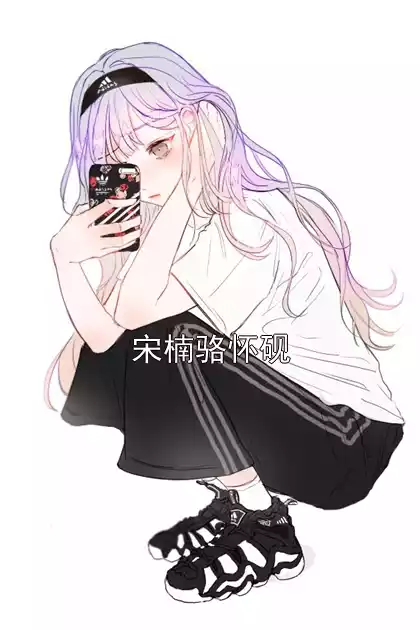 宋楠骆怀砚小说