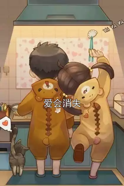爱会消失小说