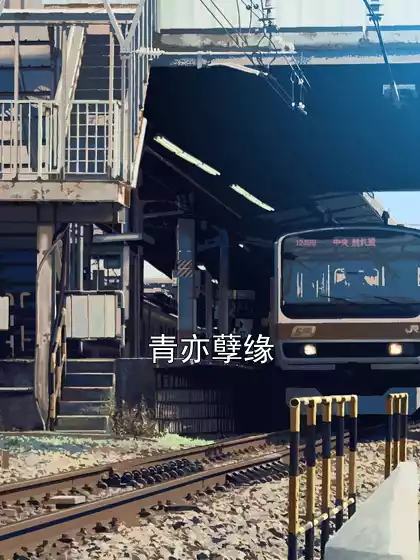 青亦孽缘小说