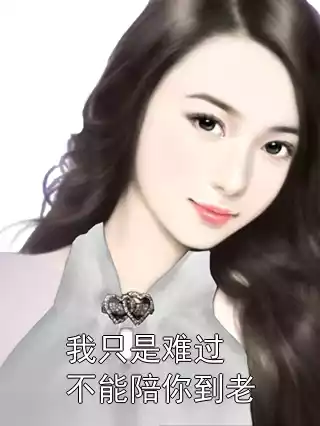 我只是难过不能陪你到老小说