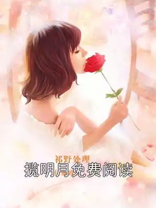 揽明月免费阅读小说