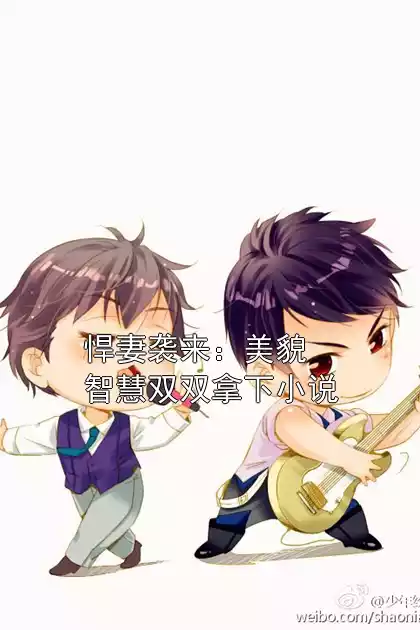 悍妻袭来：美貌智慧双双拿下小说