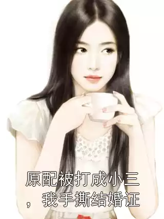 原配被打成小三，我手撕结婚证