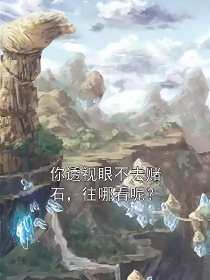 你透视眼不去赌石，往哪看呢？小说