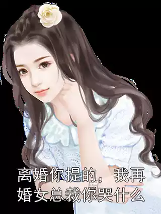 离婚你提的，我再婚女总裁你哭什么小说
