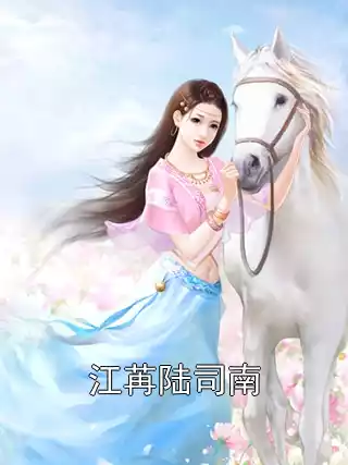 江苒陆司南小说